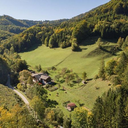 Urlaub Mitten Im Wald - Lueg Scheibbs Екстер'єр фото