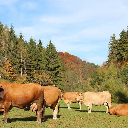 Urlaub Mitten Im Wald - Lueg Scheibbs Екстер'єр фото