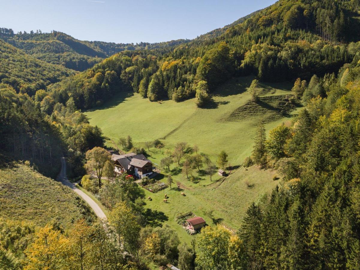 Urlaub Mitten Im Wald - Lueg Scheibbs Екстер'єр фото