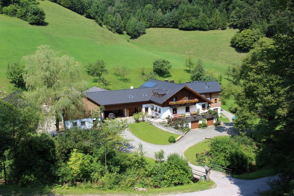 Urlaub Mitten Im Wald - Lueg Scheibbs Екстер'єр фото