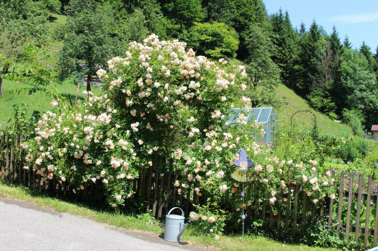 Urlaub Mitten Im Wald - Lueg Scheibbs Екстер'єр фото