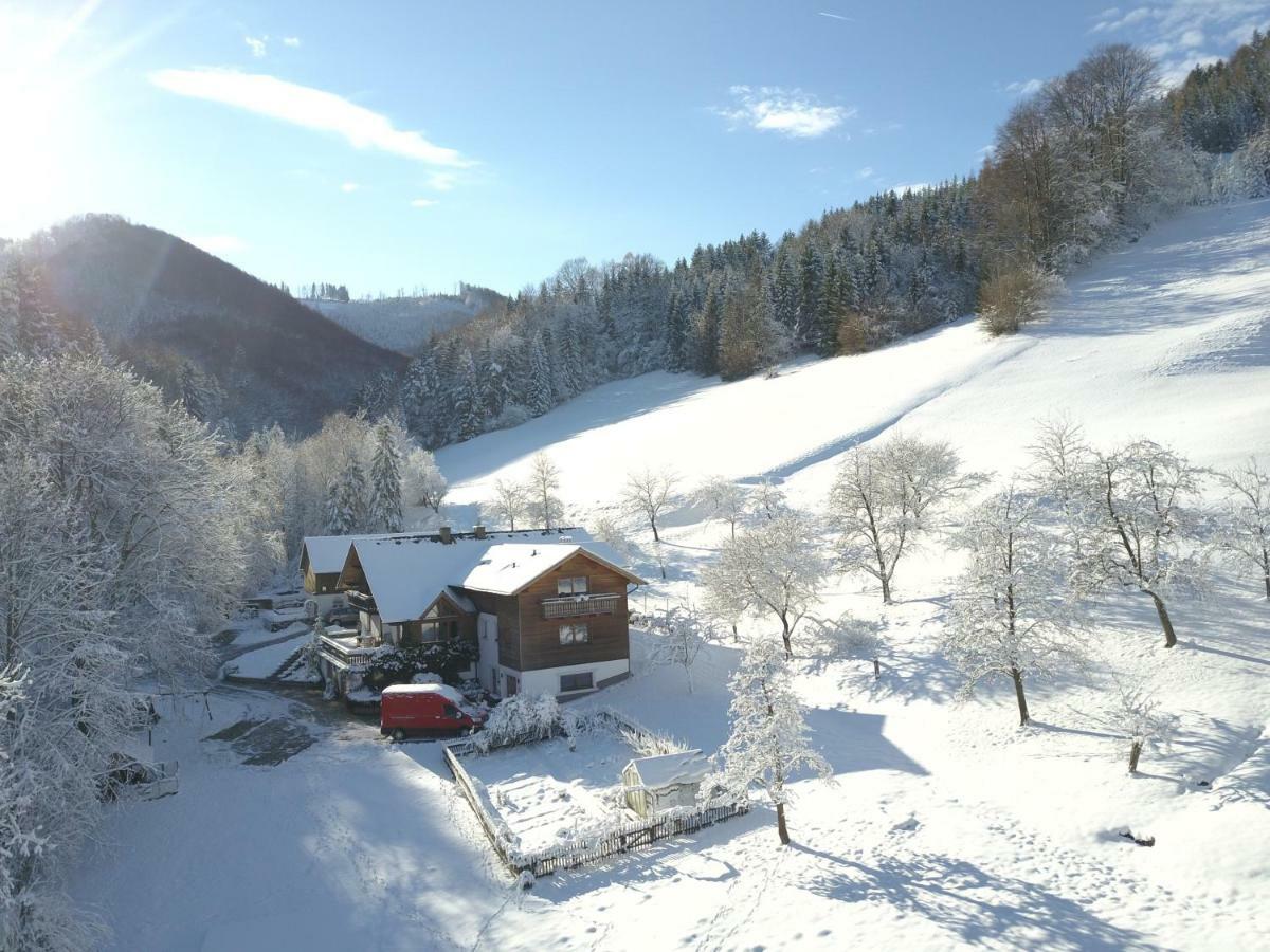 Urlaub Mitten Im Wald - Lueg Scheibbs Екстер'єр фото