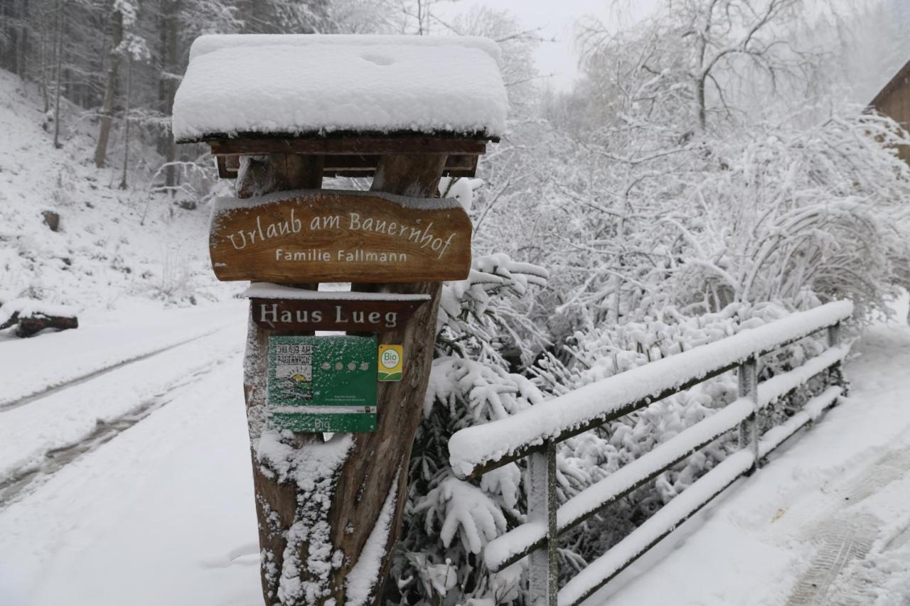 Urlaub Mitten Im Wald - Lueg Scheibbs Екстер'єр фото